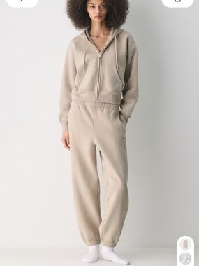 Aritzia cozy sweat fleece mega joggers